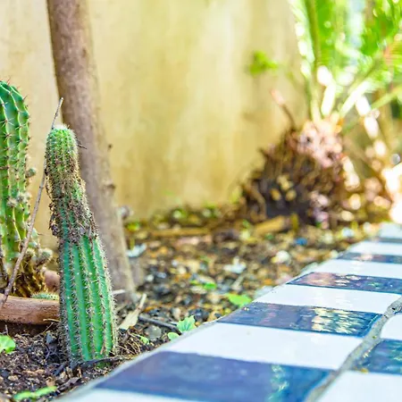 Casa Silvia Marina - Cala Gonone Διαμέρισμα *