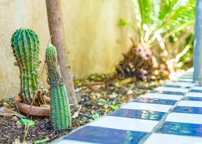 Casa Silvia Marina - Cala Gonone Διαμέρισμα *